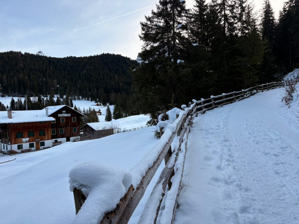 La strada forestale, all'inizio dell'itinerario, sale dolcemente nel bosco